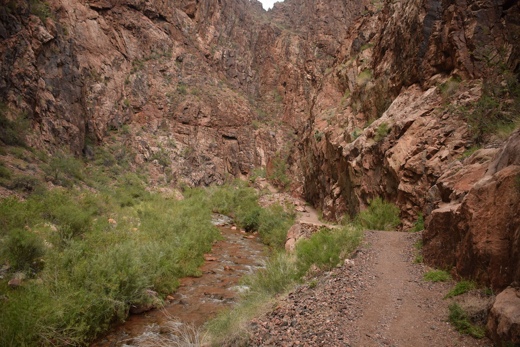 Grand Canyon Hike 253