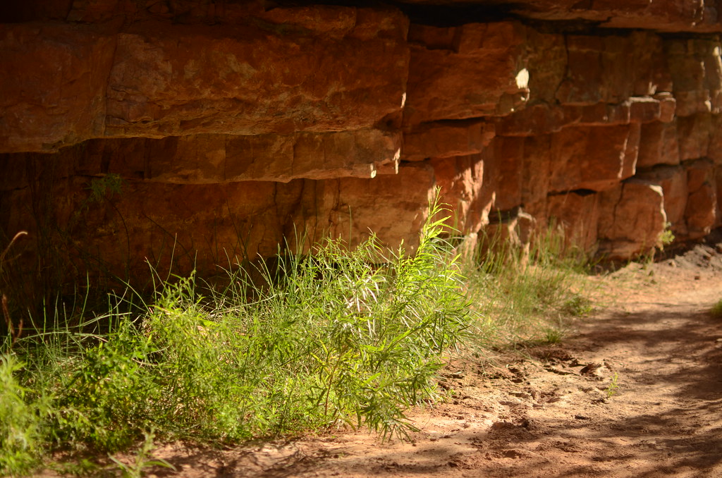 Grand Canyon Hike 068