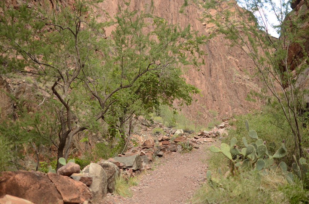 Grand Canyon Hike 065