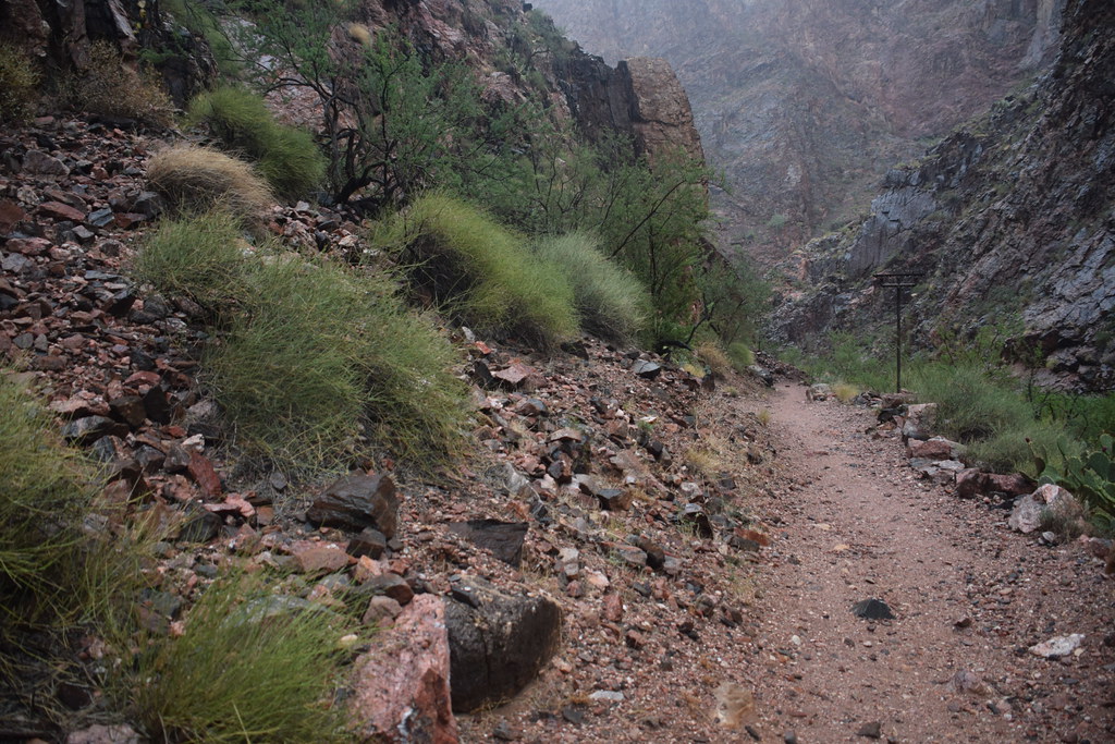 Grand Canyon Hike 185