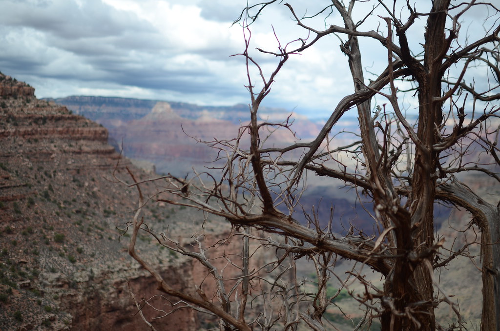 Grand Canyon Bright Angle Trail 050