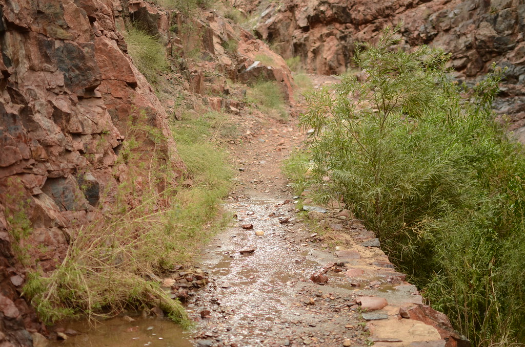 Grand Canyon Hike 061