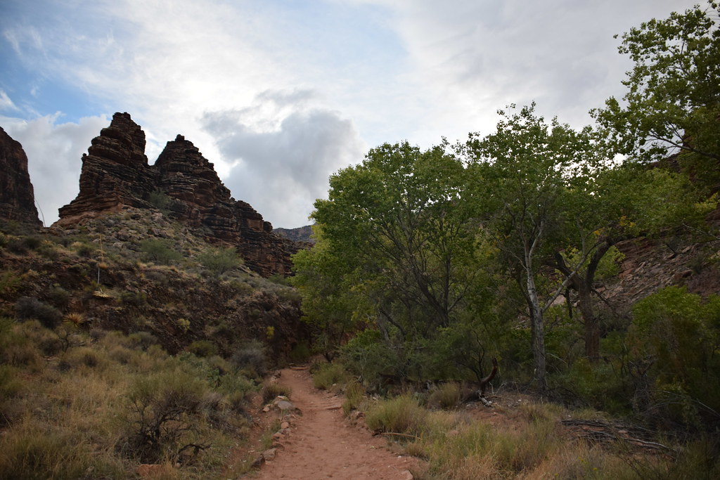 Grand Canyon Bright Angel Trail 353