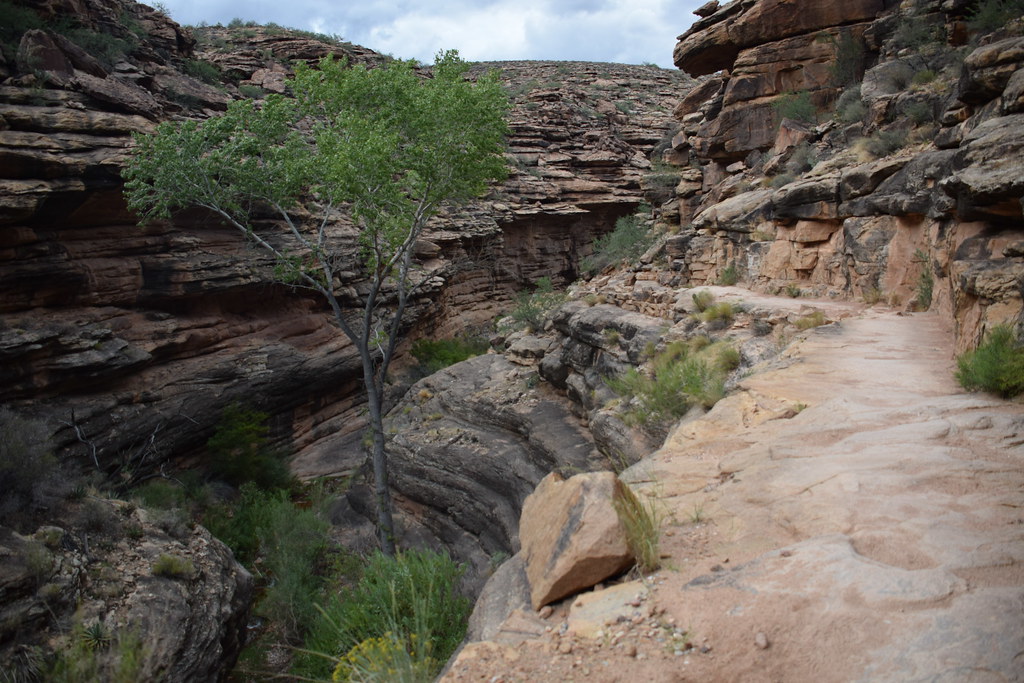 Grand Canyon Bright Angel Trail 330