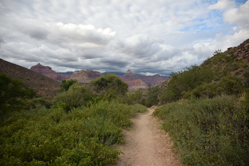 Grand Canyon Bright Angel Trail 314