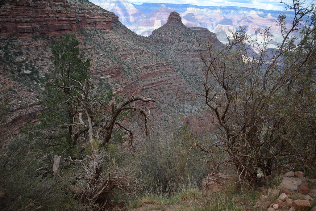 Grand Canyon Bright Angel Trail 143