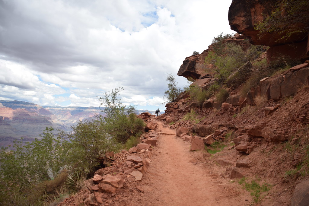 Grand Canyon Bright Angel Trail 184