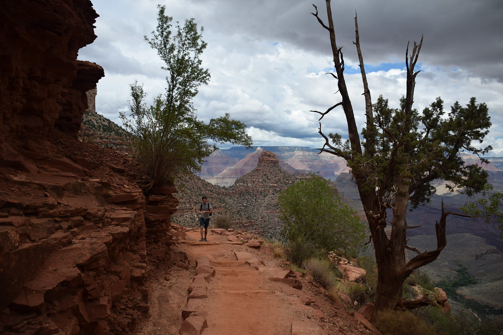 Grand Canyon Bright Angel Trail 167