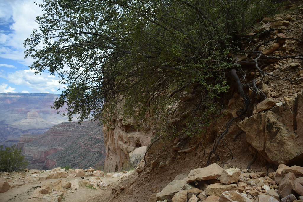 Grand Canyon Bright Angel Trail 089