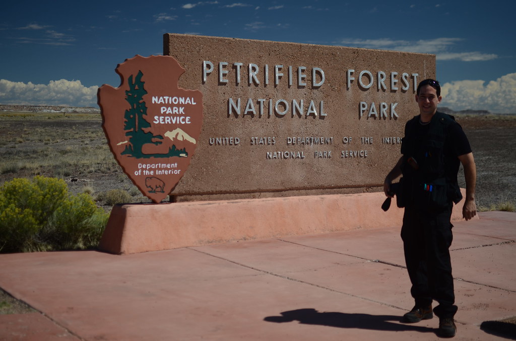 Arizona Petrified Forest 018