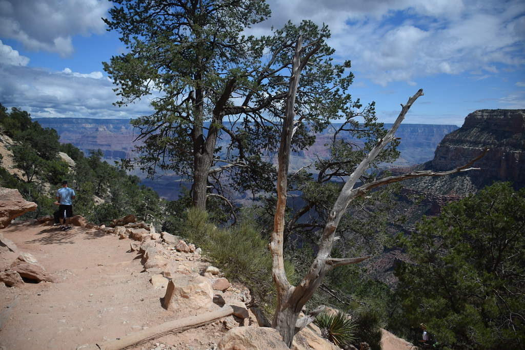 Grand Canyon Bright Angel Trail 047