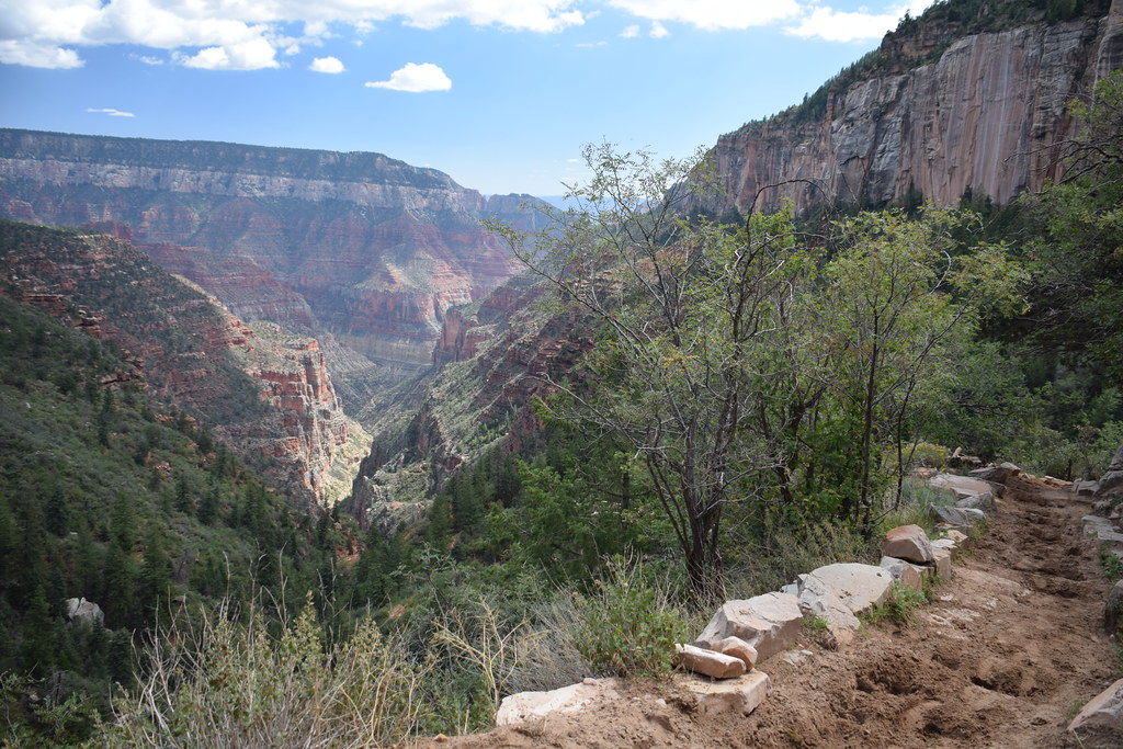 Grand Canyon North Rim 252
