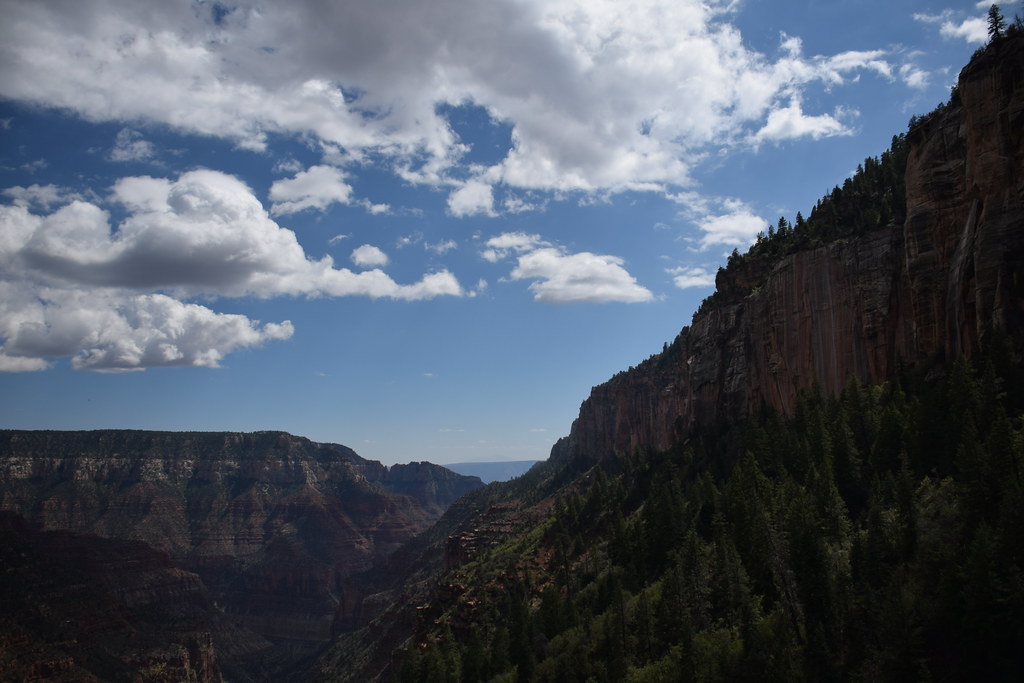 Grand Canyon North Rim 242