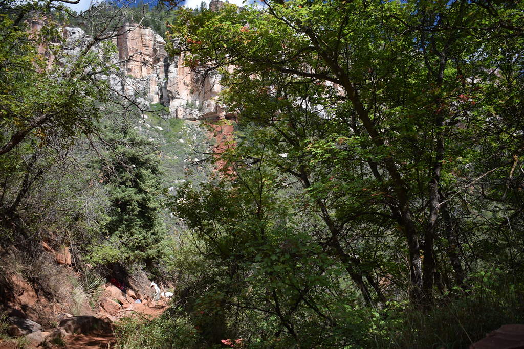 Grand Canyon North Rim 230