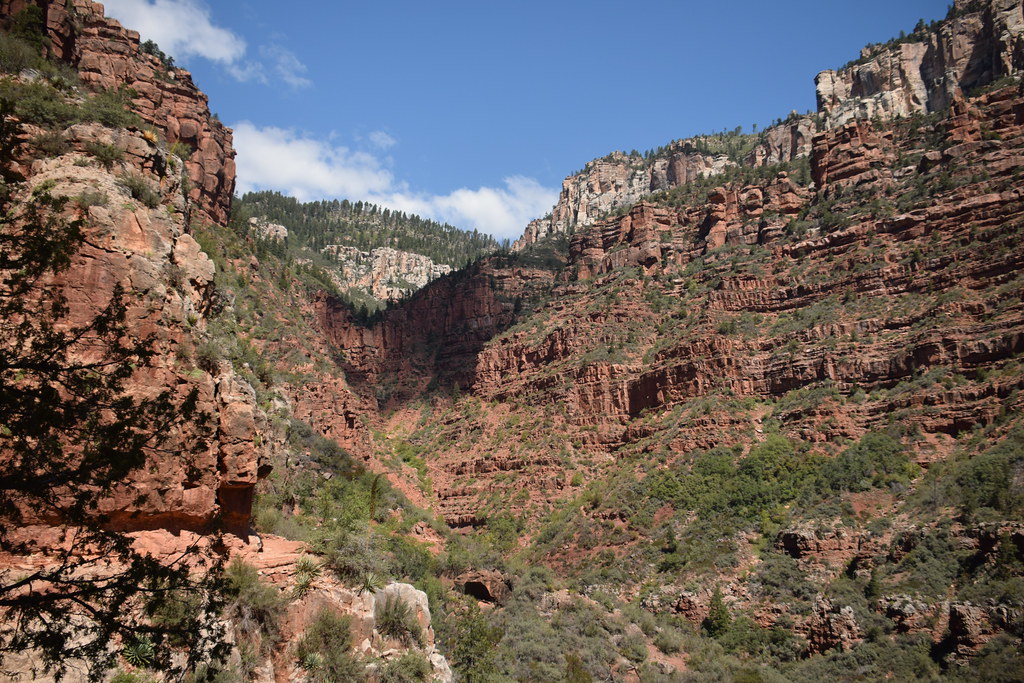 Grand Canyon North Rim 185