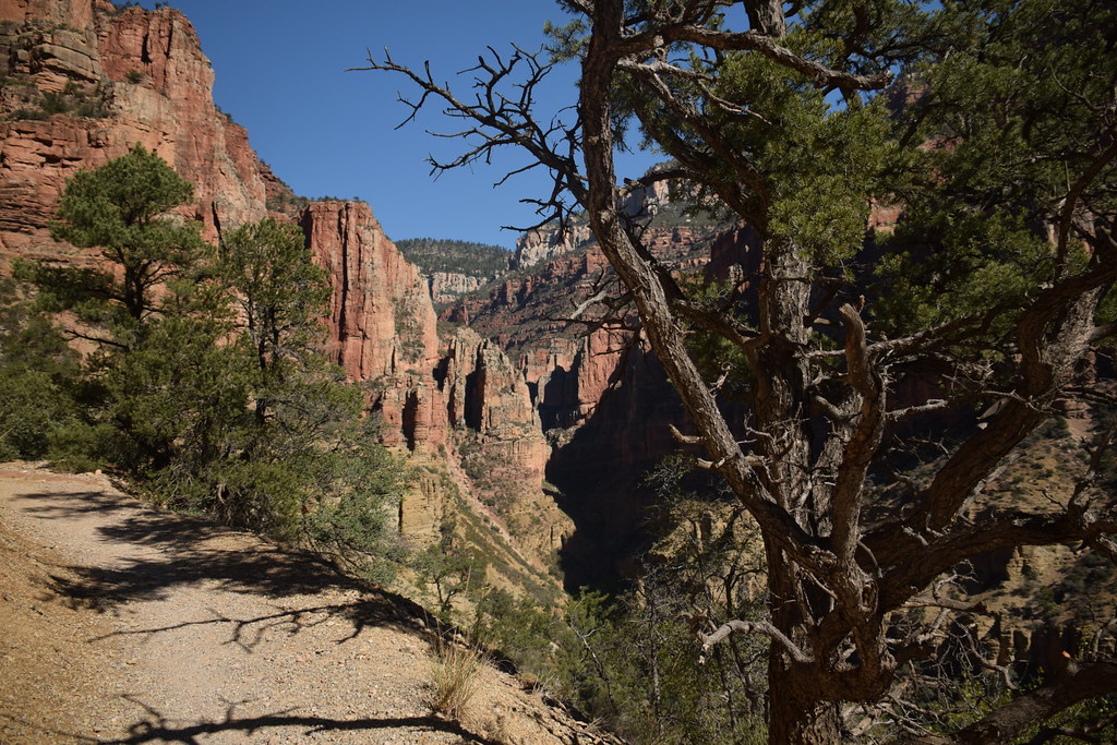 Grand Canyon North Rim 147