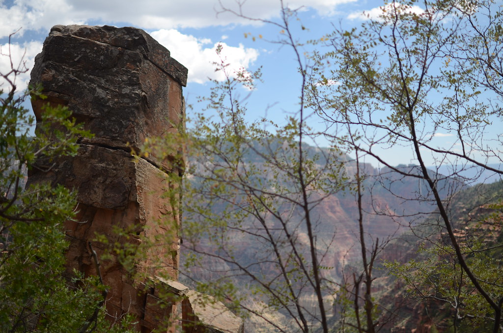 Grand Canyon North Rim 053