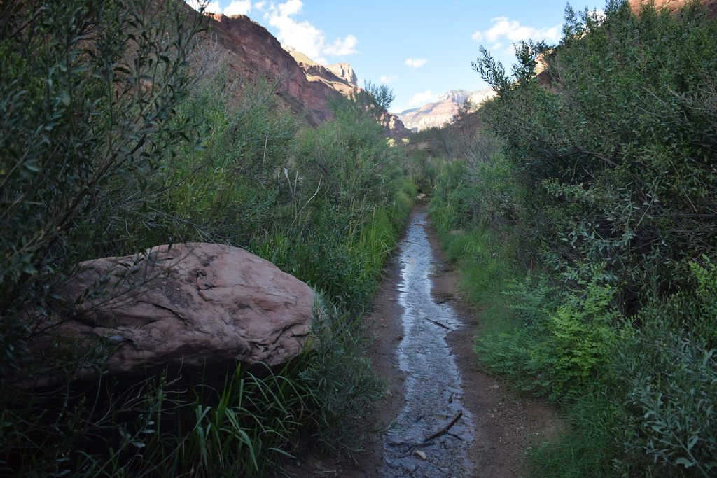 Grand Canyon Hike 344