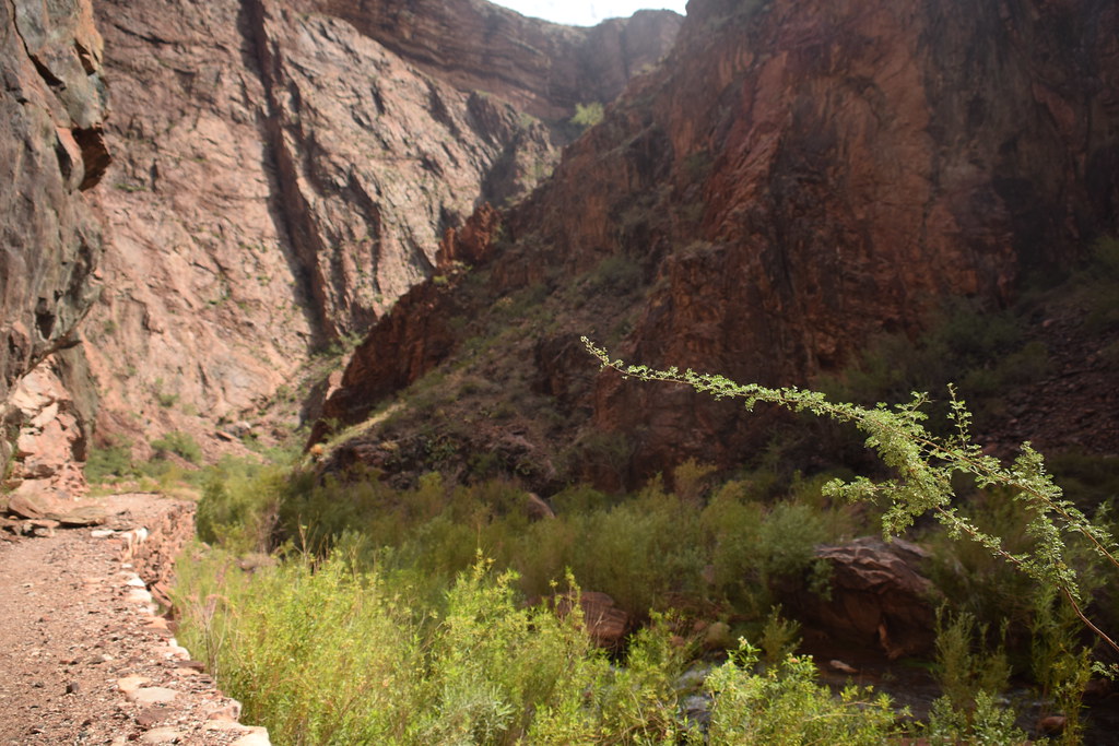 Grand Canyon Hike 282