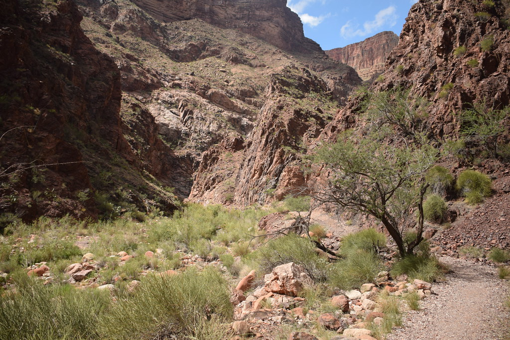 Grand Canyon Hike 280