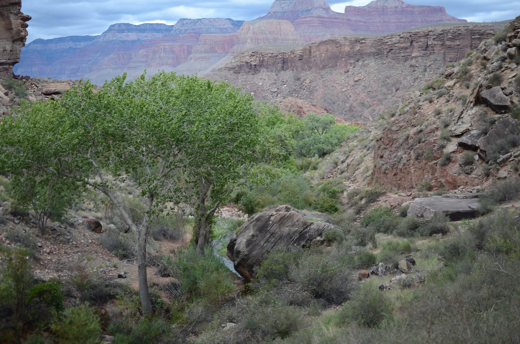 Grand Canyon Bright Angle Trail 096
