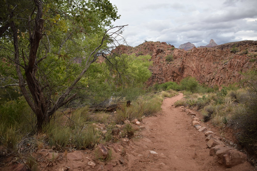 Grand Canyon Bright Angel Trail 351