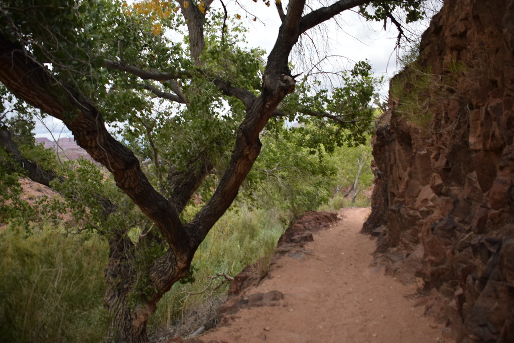 Grand Canyon Bright Angel Trail 349