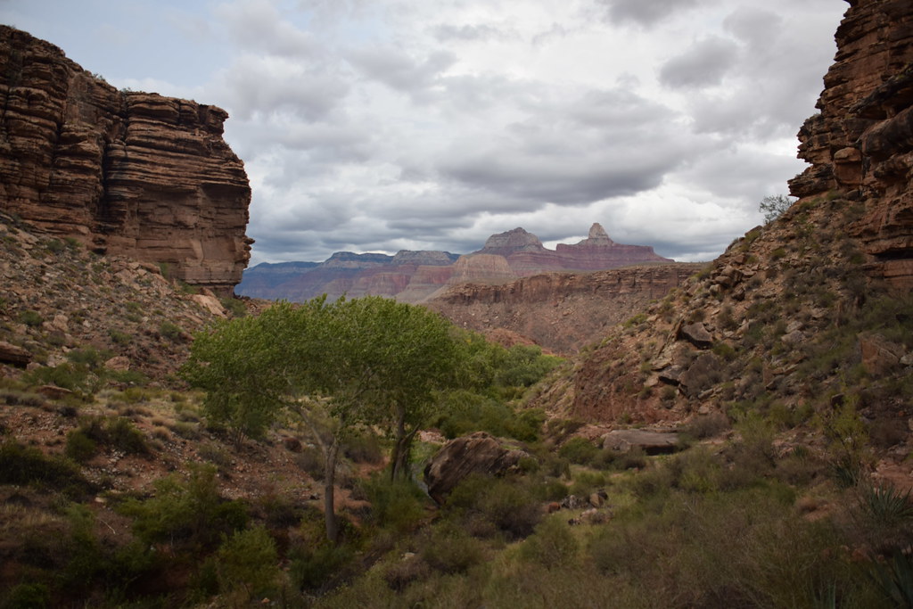 Grand Canyon Bright Angel Trail 339