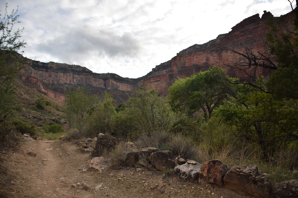 Grand Canyon Bright Angel Trail 315