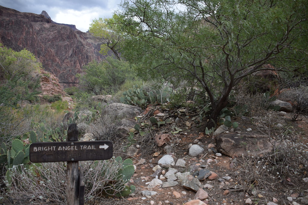 Grand Canyon Hike 140