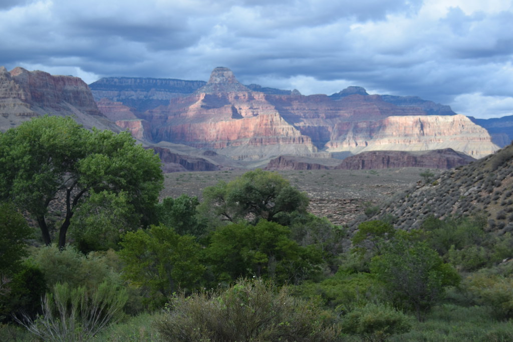 Grand Canyon Bright Angel Trail 313