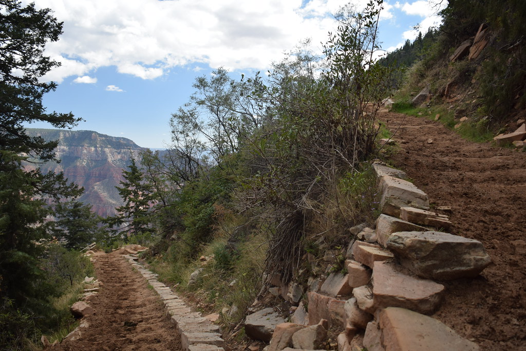 Grand Canyon North Rim 257
