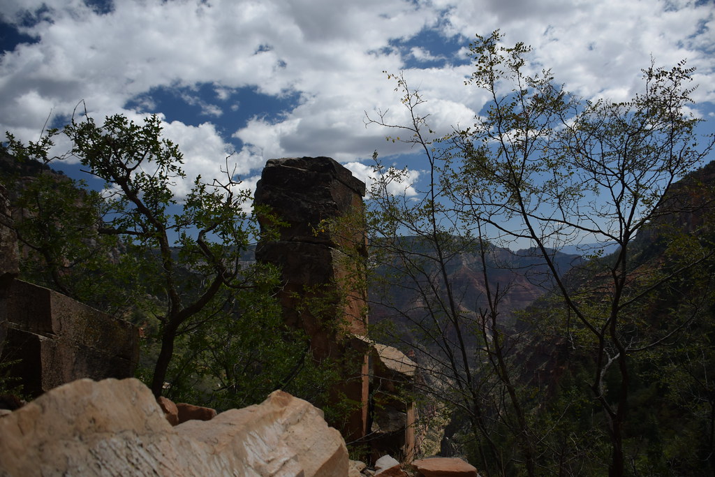 Grand Canyon North Rim 246