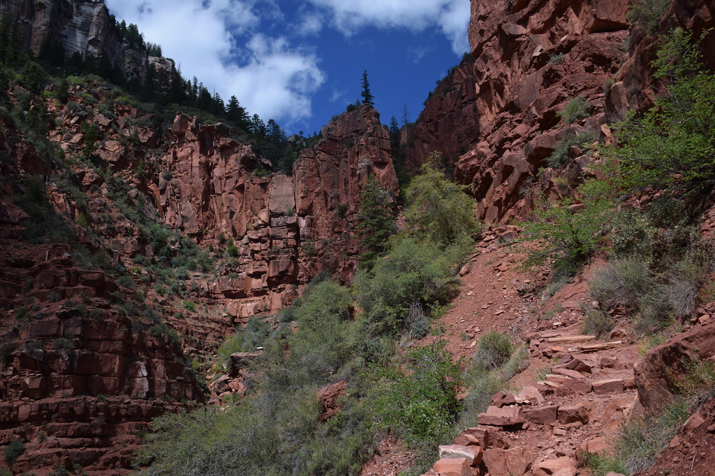 Grand Canyon North Rim 206
