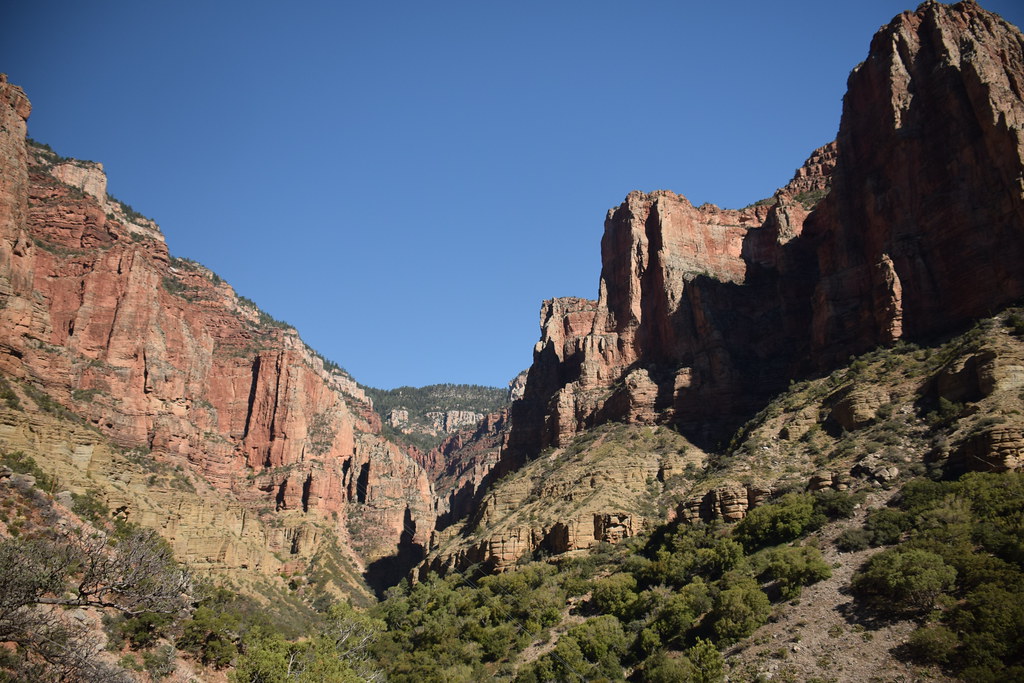 Grand Canyon North Rim 135