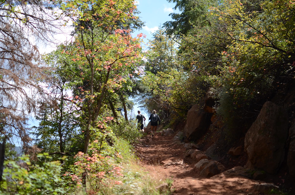 Grand Canyon North Rim 043