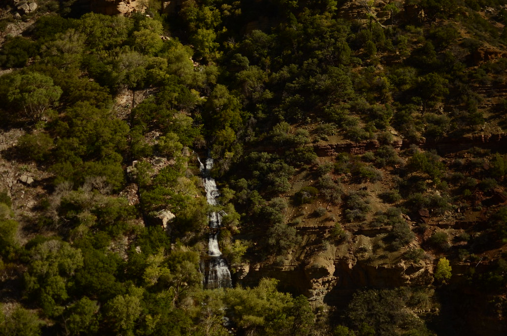 Grand Canyon North Rim 006