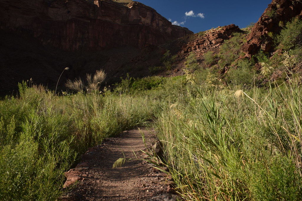 Grand Canyon Hike 336