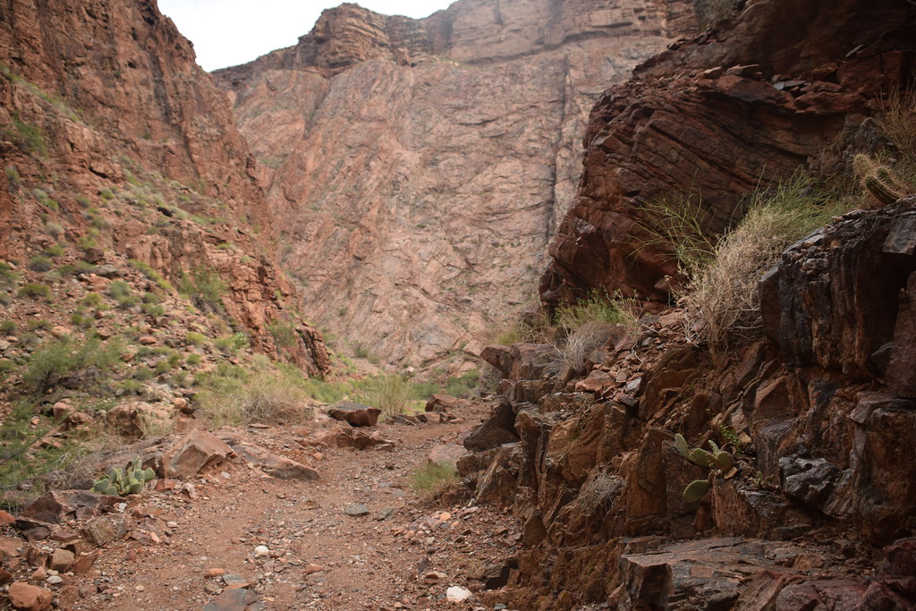 Grand Canyon Hike 257
