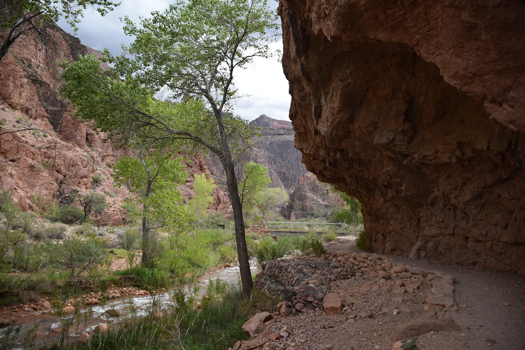 Grand Canyon Hike 139