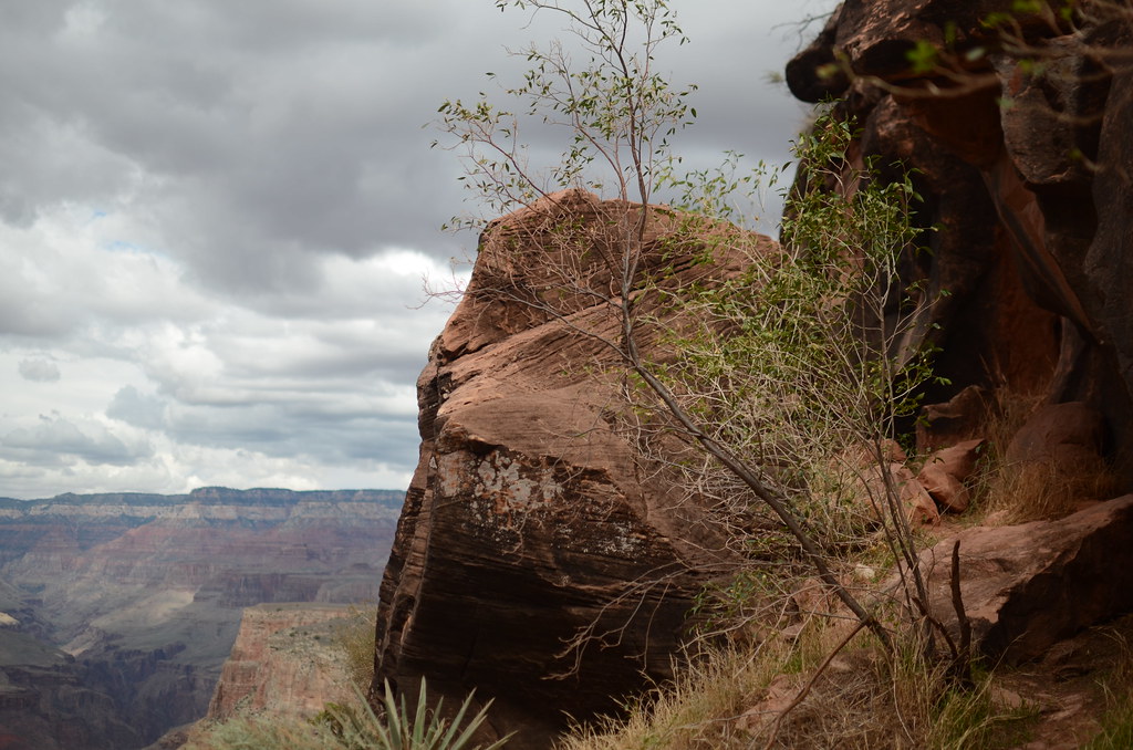 Grand Canyon Bright Angle Trail 057