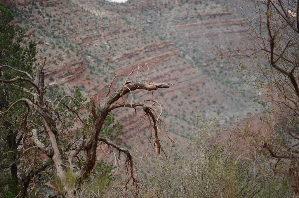 Grand Canyon Bright Angle Trail 030