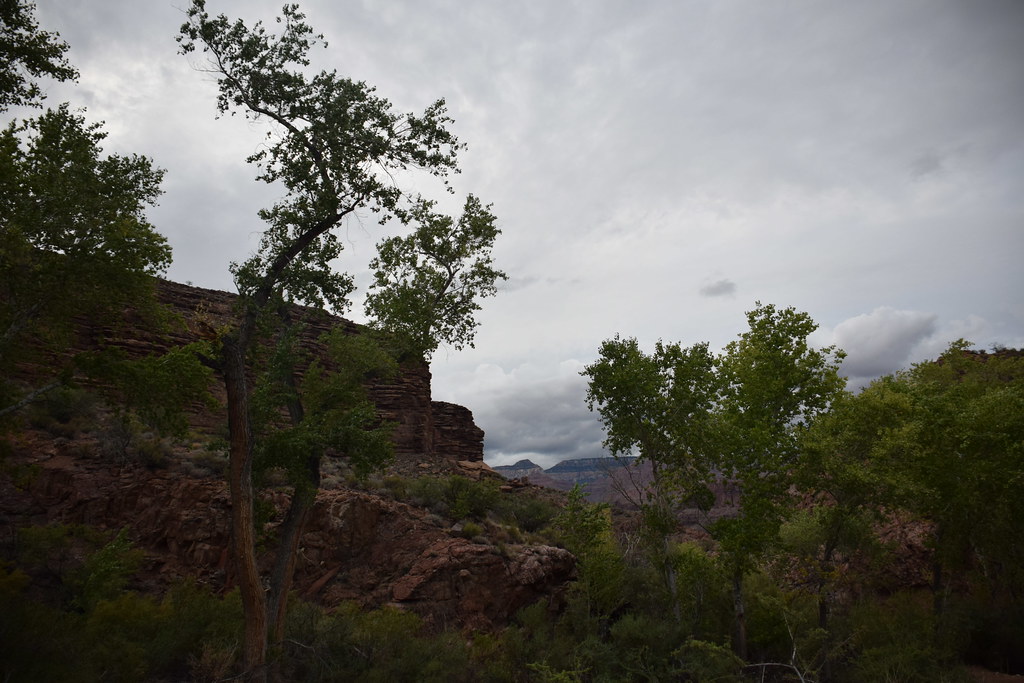 Grand Canyon Bright Angel Trail 352