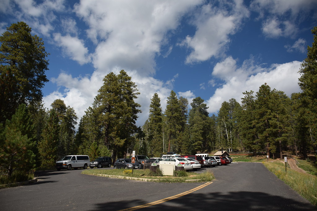 Grand Canyon North Rim 277