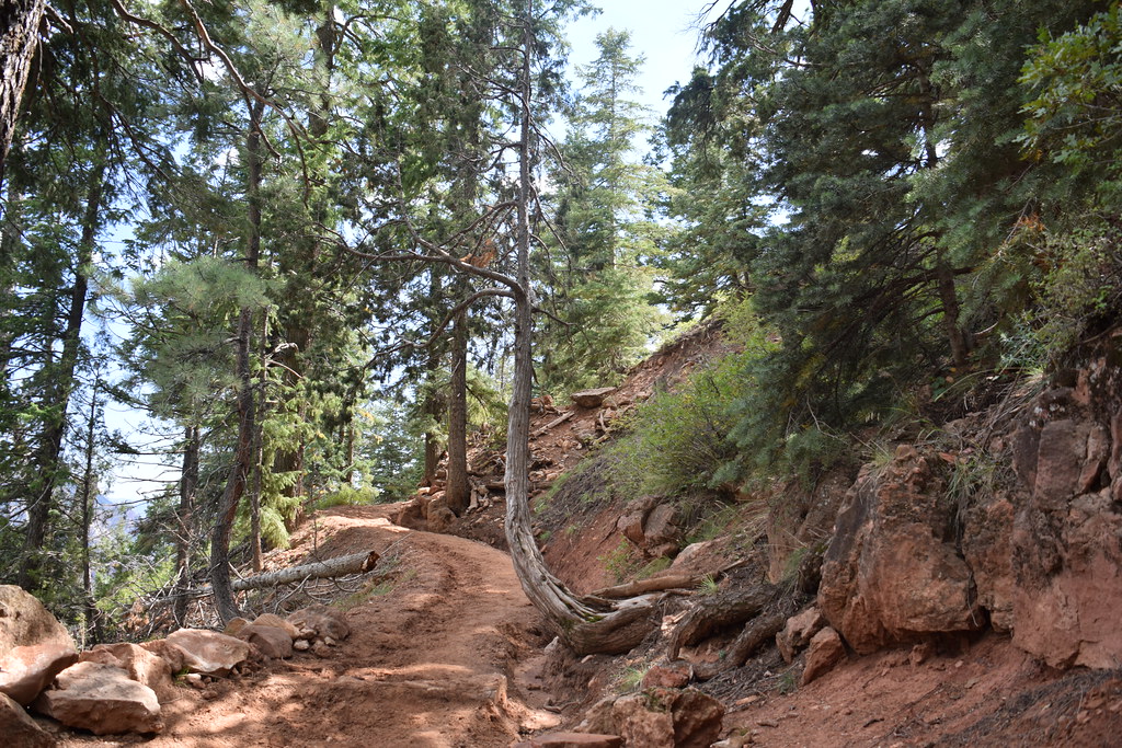 Grand Canyon North Rim 264