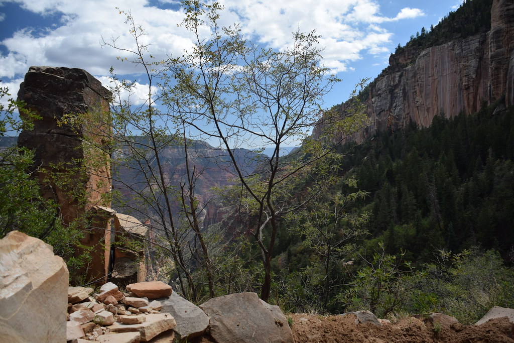 Grand Canyon North Rim 245
