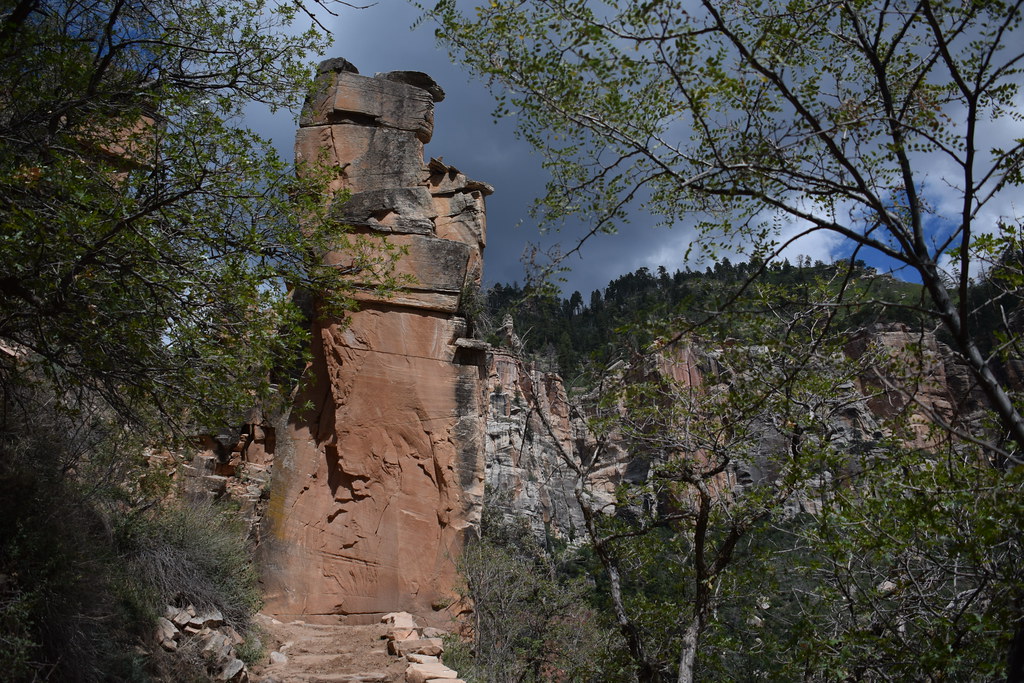 Grand Canyon North Rim 240