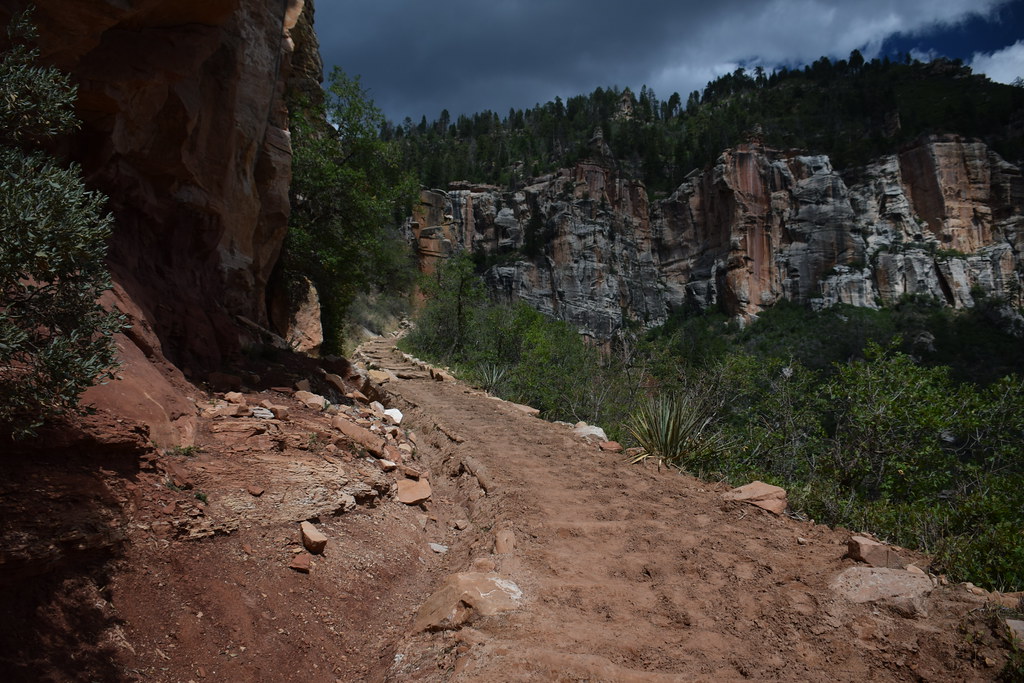 Grand Canyon North Rim 237