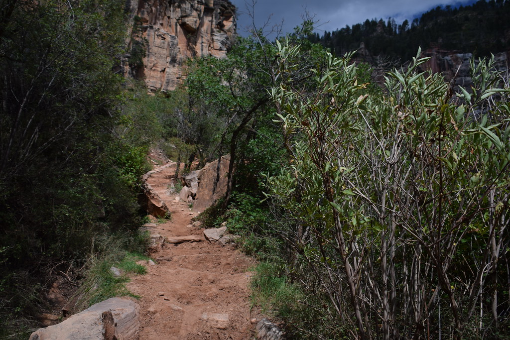 Grand Canyon North Rim 236