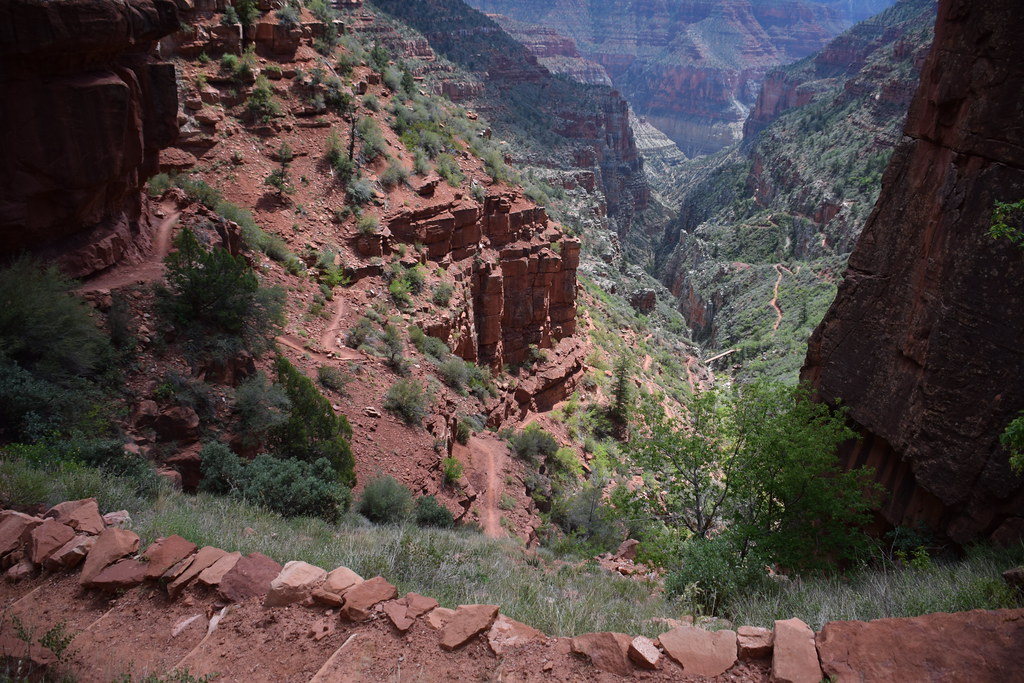 Grand Canyon North Rim 220